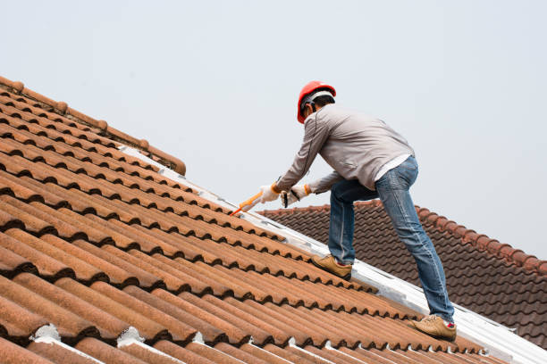 Best Roof Insulation Installation  in Cookeville, TN